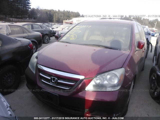 5FNRL38645B039062 - 2005 HONDA ODYSSEY EXL RED photo 6