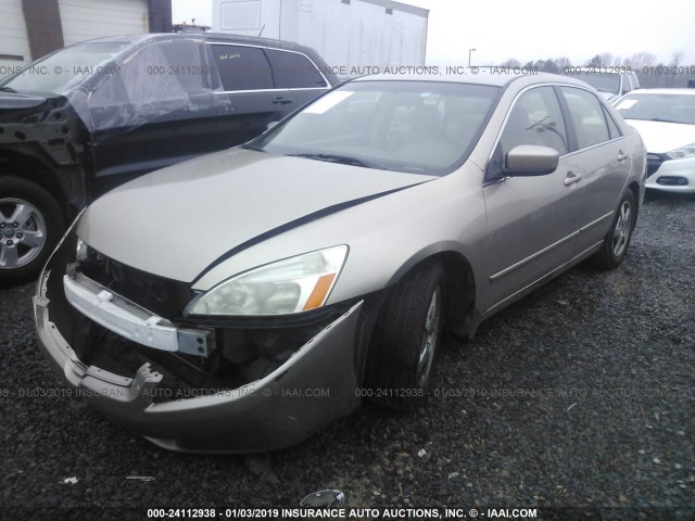 JHMCN36405C000319 - 2005 HONDA ACCORD HYBRID TAN photo 2