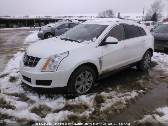 3GYFNAEY8BS596819 - 2011 CADILLAC SRX LUXURY COLLECTION WHITE photo 2