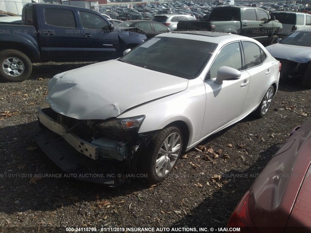 JTHBF1D21F5077737 - 2015 LEXUS IS 250 WHITE photo 2