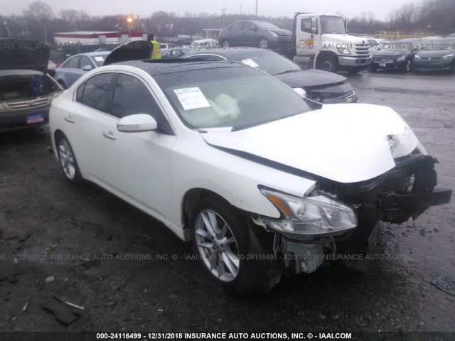 1N4AA5AP3AC809072 - 2010 NISSAN MAXIMA S/SV WHITE photo 1