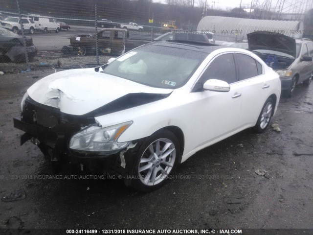 1N4AA5AP3AC809072 - 2010 NISSAN MAXIMA S/SV WHITE photo 2