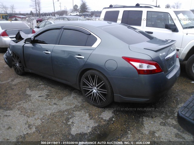 1N4AA5AP7AC862101 - 2010 NISSAN MAXIMA S/SV GRAY photo 3