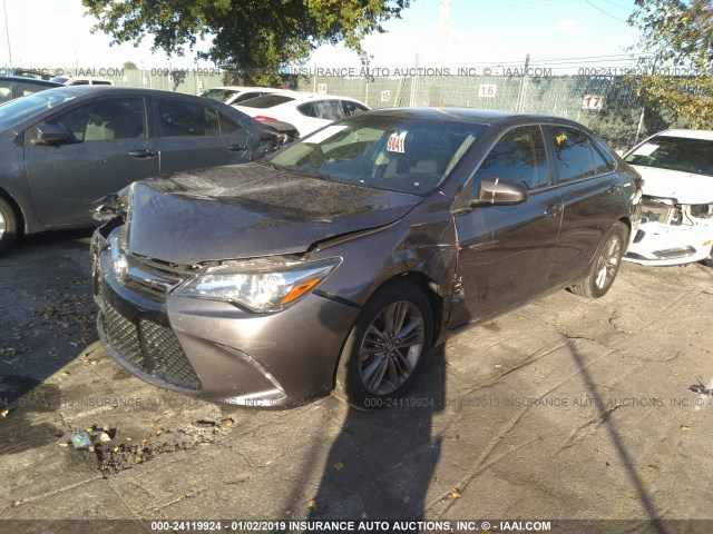 4T1BF1FK2GU233401 - 2016 TOYOTA CAMRY LE/XLE/SE/XSE GRAY photo 2