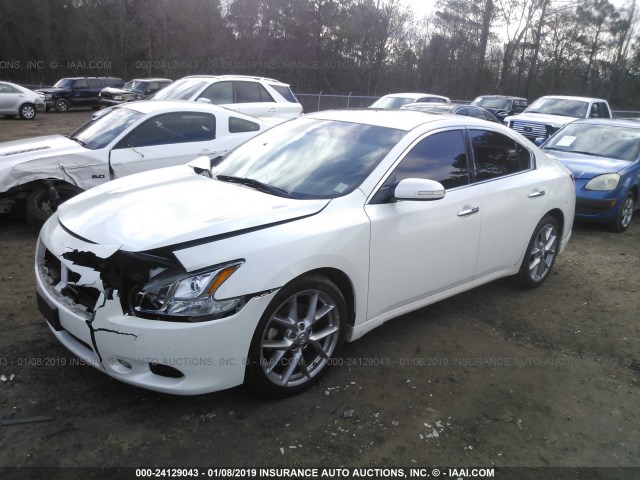 1N4AA5AP2AC836280 - 2010 NISSAN MAXIMA S/SV WHITE photo 2