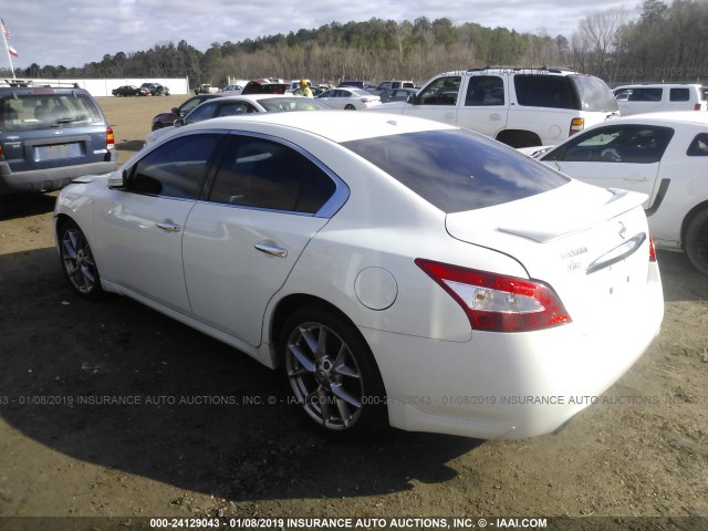 1N4AA5AP2AC836280 - 2010 NISSAN MAXIMA S/SV WHITE photo 3