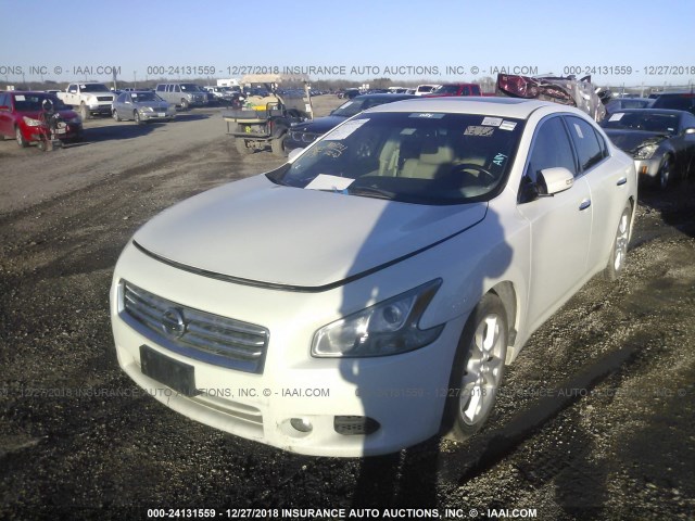 1N4AA5APXCC830732 - 2012 NISSAN MAXIMA S/SV WHITE photo 2