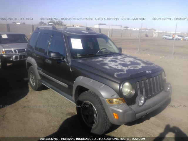 1J4GL38K25W678633 - 2005 JEEP LIBERTY RENEGADE GREEN photo 1