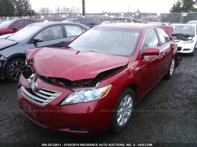 4T1BB46KX9U104869 - 2009 TOYOTA CAMRY HYBRID RED photo 2