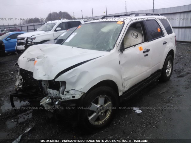 1FMCU0D77BKA04302 - 2011 FORD ESCAPE XLT WHITE photo 2