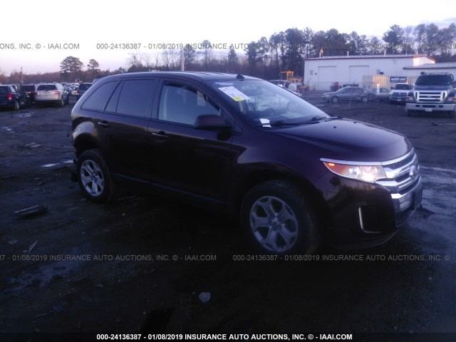 2FMDK4JC8CBA41857 - 2012 FORD EDGE SEL PURPLE photo 1