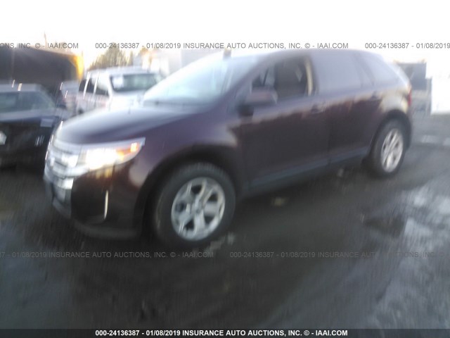 2FMDK4JC8CBA41857 - 2012 FORD EDGE SEL PURPLE photo 2