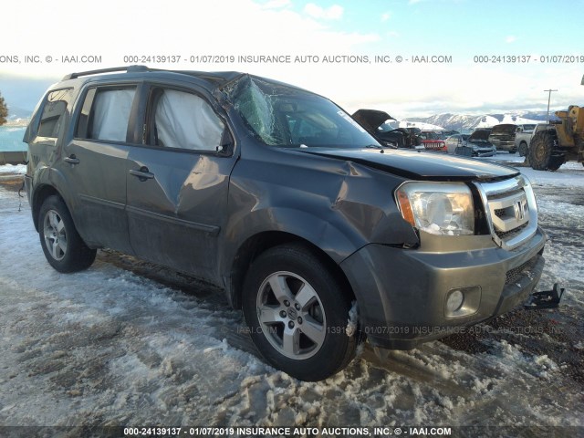 5FNYF4H70BB061234 - 2011 HONDA PILOT EXLN GRAY photo 1