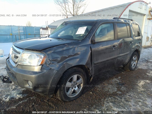 5FNYF4H70BB061234 - 2011 HONDA PILOT EXLN GRAY photo 2