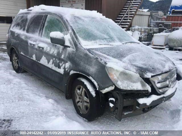 5FNRL38727B401658 - 2007 HONDA ODYSSEY EXL GRAY photo 1