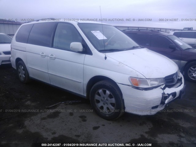 5FNRL18063B020123 - 2003 HONDA ODYSSEY EXL WHITE photo 1