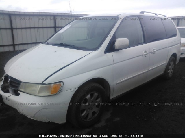 5FNRL18063B020123 - 2003 HONDA ODYSSEY EXL WHITE photo 2