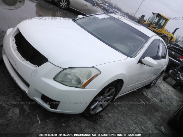 1N4BA41E08C805942 - 2008 NISSAN MAXIMA SE/SL WHITE photo 2