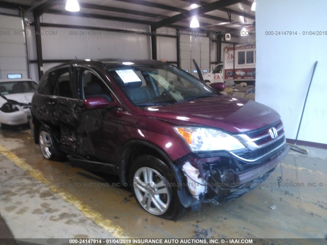 5J6RE3H77BL047131 - 2011 HONDA CR-V EXL RED photo 1