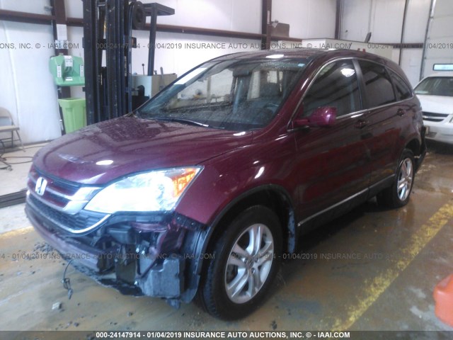 5J6RE3H77BL047131 - 2011 HONDA CR-V EXL RED photo 2