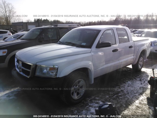 1D3HW38K38S629168 - 2008 DODGE DAKOTA SXT WHITE photo 2