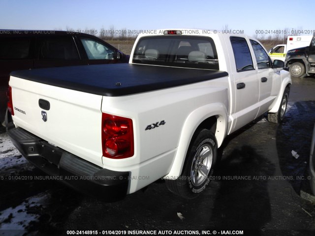 1D3HW38K38S629168 - 2008 DODGE DAKOTA SXT WHITE photo 4