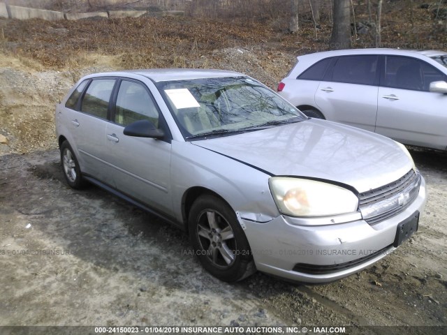 1G1ZT64804F161560 - 2004 CHEVROLET MALIBU MAXX LS SILVER photo 1