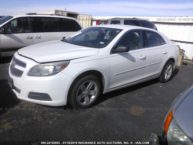 1G11B5SA7DF125008 - 2013 CHEVROLET MALIBU LS თეთრი ფოტო 2