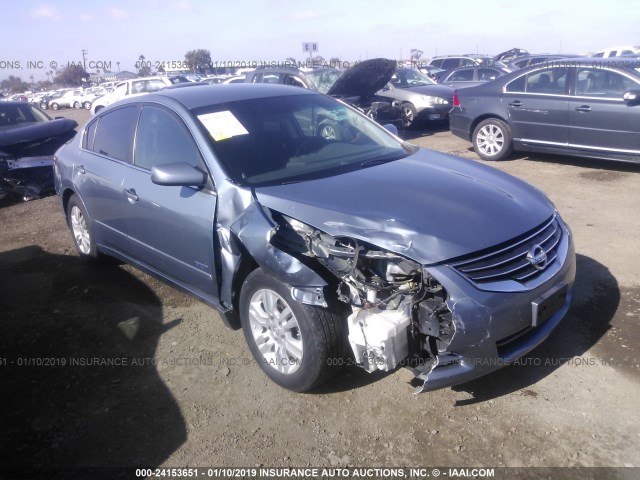 1N4CL2AP5AC112116 - 2010 NISSAN ALTIMA HYBRID BLUE photo 1