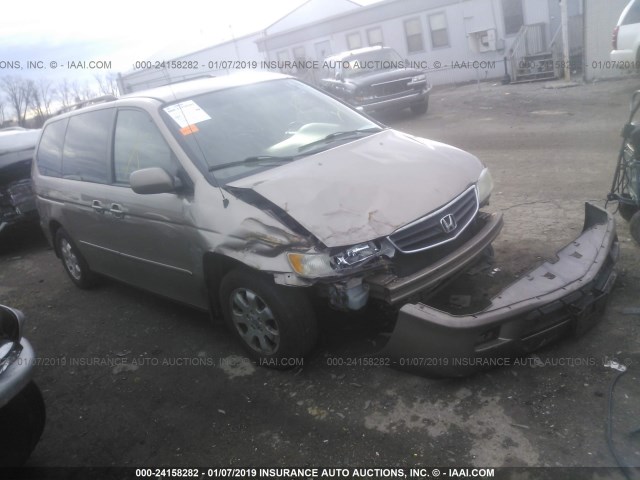 5FNRL18063B014225 - 2003 HONDA ODYSSEY EXL BROWN photo 1