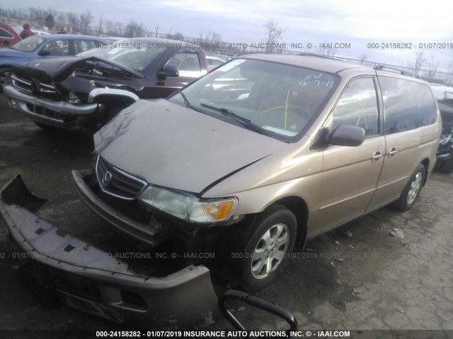 5FNRL18063B014225 - 2003 HONDA ODYSSEY EXL BROWN photo 2