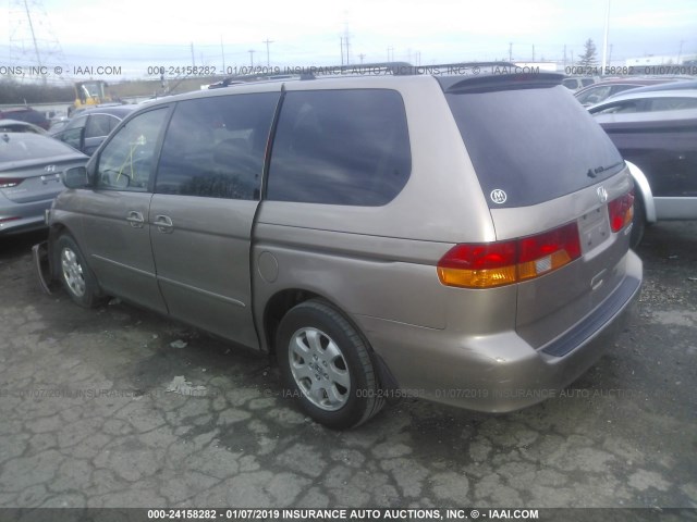 5FNRL18063B014225 - 2003 HONDA ODYSSEY EXL BROWN photo 3