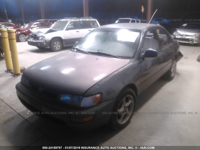 1NXBB02E8TZ447843 - 1996 TOYOTA COROLLA DX GREEN photo 2