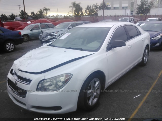 1G1ZB5E14BF338204 - 2011 CHEVROLET MALIBU LS WHITE photo 2