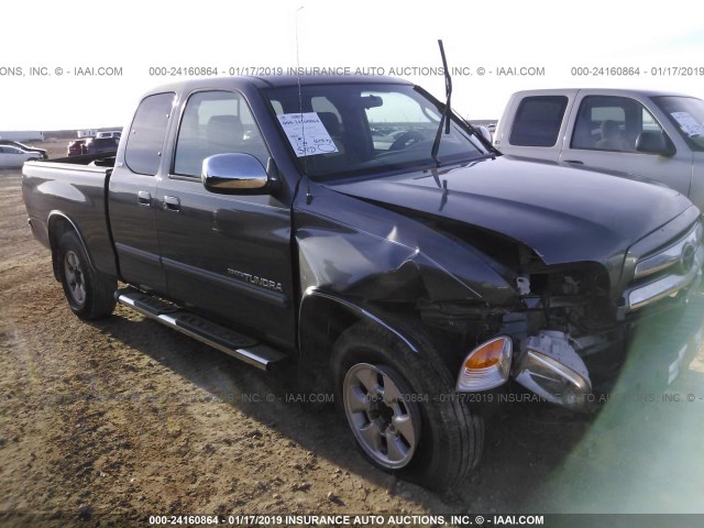 5TBRU341X5S442569 - 2005 TOYOTA TUNDRA ACCESS CAB SR5 GRAY photo 1