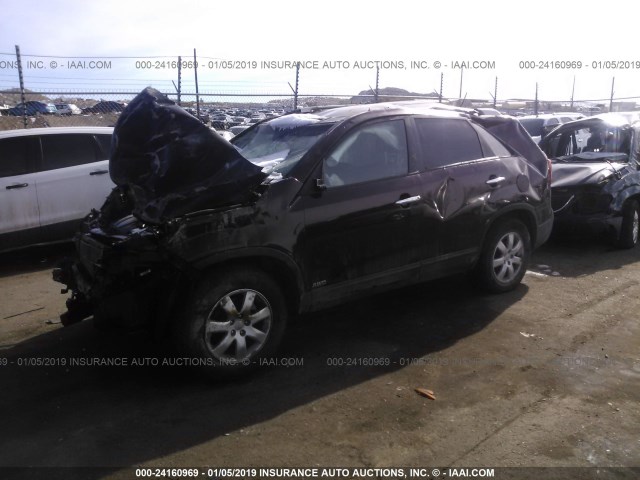 5XYKTDA26CG243429 - 2012 KIA SORENTO LX Tünd qırmızı foto 2