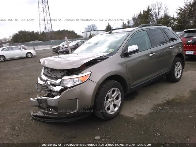 2FMDK4JC4DBE15401 - 2013 FORD EDGE SEL TAN photo 2