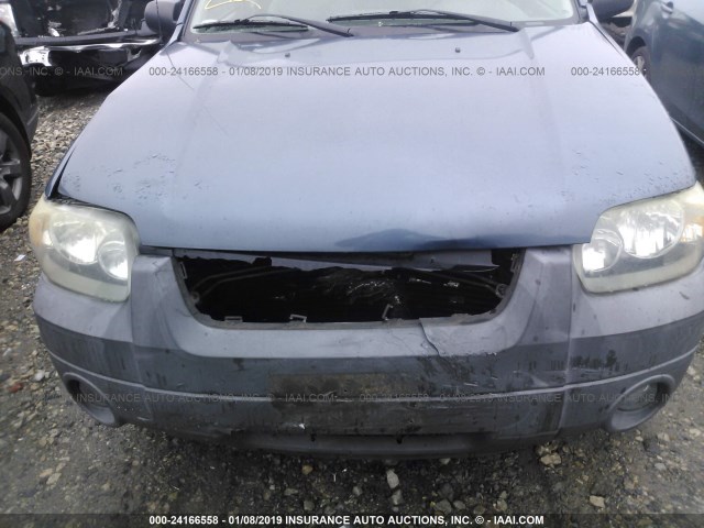 1FMCU03135DA17344 - 2005 FORD ESCAPE XLT ლურჯი ფოტო 10