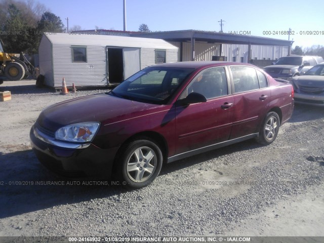 1G1ZT54885F177386 - 2005 CHEVROLET MALIBU LS Bordo foto 2