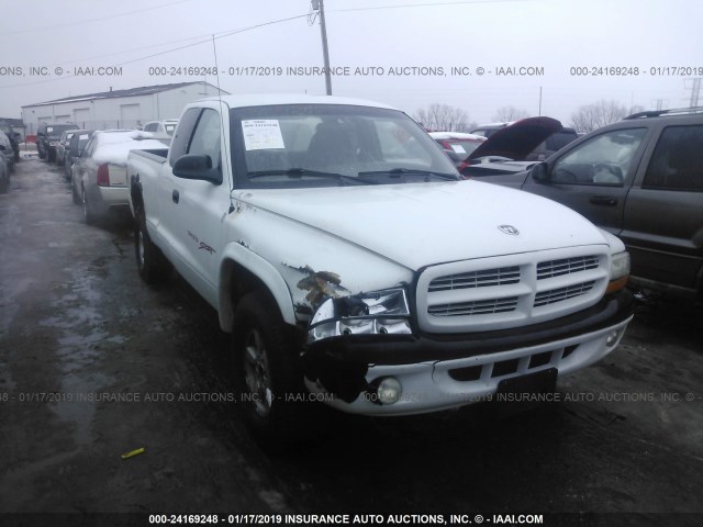 1B7GG22Y8XS296862 - 1999 DODGE DAKOTA WHITE photo 6