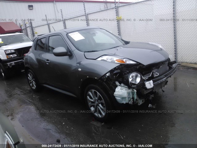 JN8AF5MV0DT220429 - 2013 NISSAN JUKE S/SV/SL GRAY photo 1