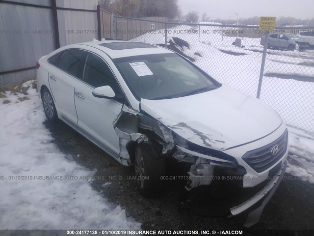 5NPE34AF5FH070600 - 2015 HYUNDAI SONATA SPORT/LIMITED WHITE photo 1