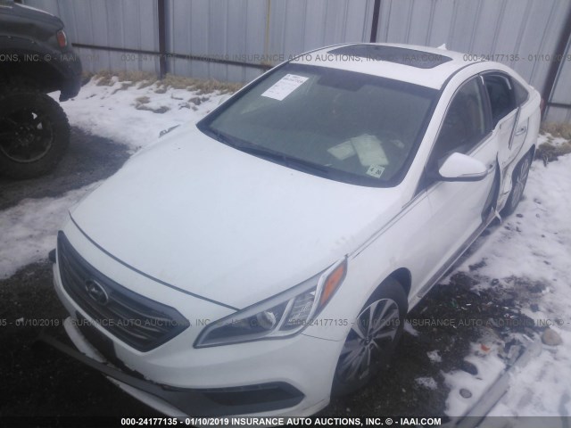 5NPE34AF5FH070600 - 2015 HYUNDAI SONATA SPORT/LIMITED WHITE photo 2