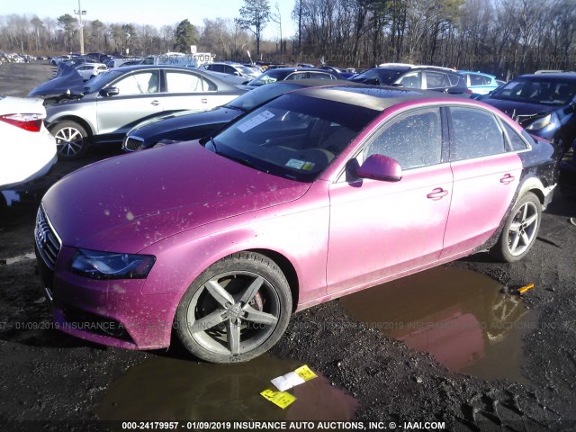 WAUMK78K89A073146 - 2009 AUDI A4 PRESTIGE PINK photo 2