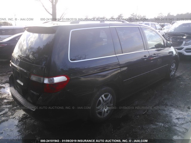 5FNRL38715B077910 - 2005 HONDA ODYSSEY EXL BLACK photo 4