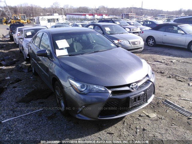 4T1BF1FK9HU810555 - 2017 TOYOTA CAMRY LE/XLE/SE/XSE GRAY photo 1
