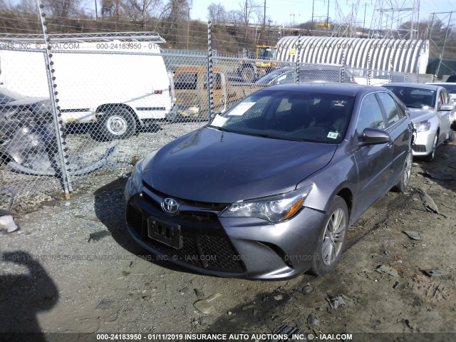 4T1BF1FK9HU810555 - 2017 TOYOTA CAMRY LE/XLE/SE/XSE GRAY photo 2