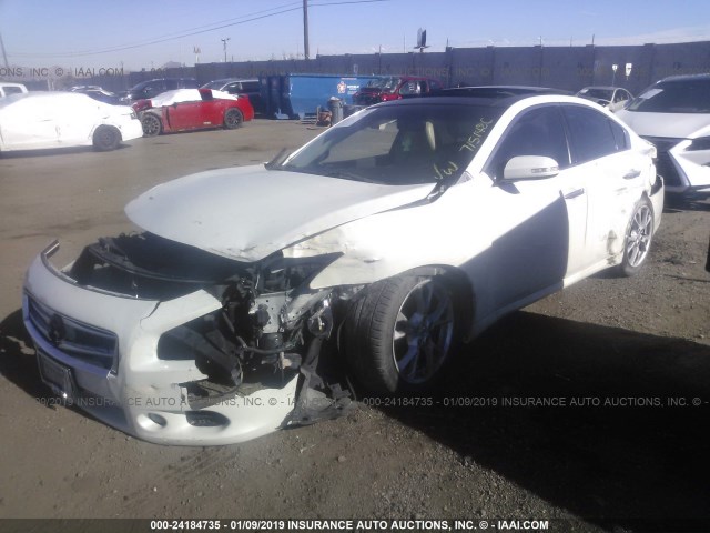 1N4AA5AP6EC907664 - 2014 NISSAN MAXIMA S/SV WHITE photo 2