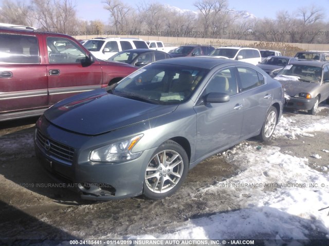 1N4AA51E79C813135 - 2009 NISSAN MAXIMA S/SV GRAY photo 2