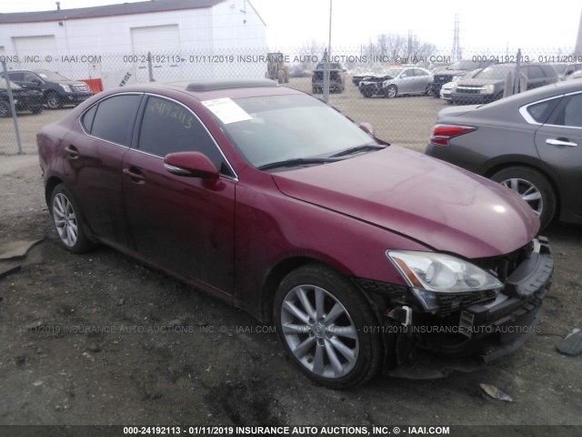 JTHCK262892031797 - 2009 LEXUS IS 250 RED photo 1